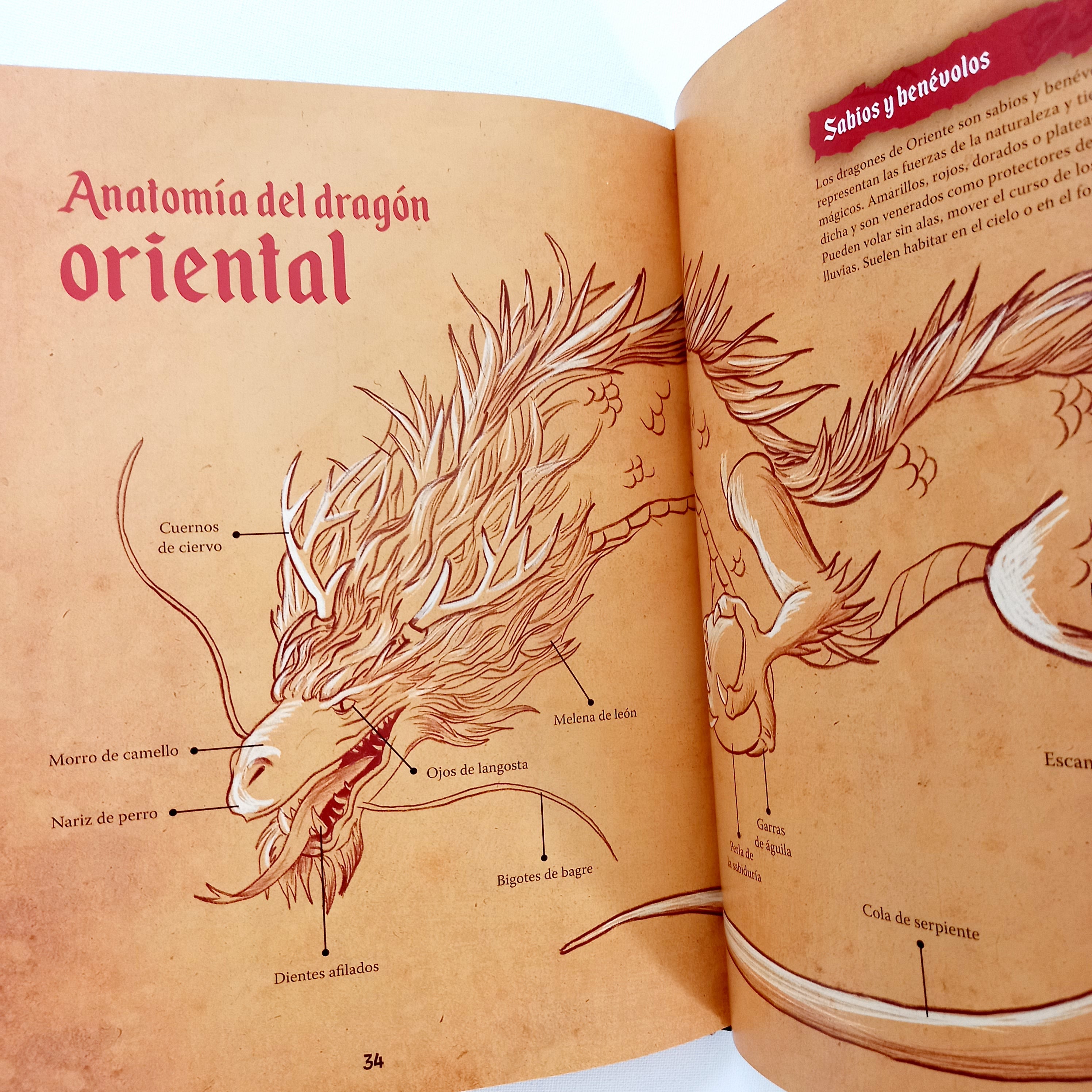 El gran libro de los dragones El gran libro de los dragones